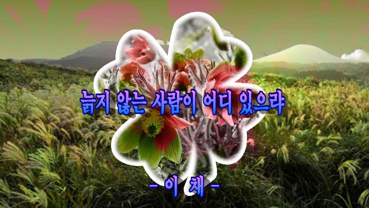 [좋은글] 늙지 않는 사람이 어디 있으랴 - 이채