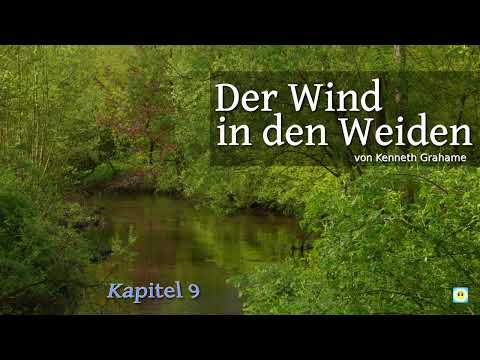 Der Wind in den Weiden / Kapitel 9: Reisende allüberall