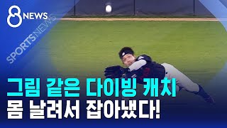 그림 같은 다이빙 캐치..몸 날려서 잡아냈다! / SBS 8뉴스