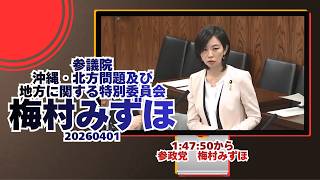 辺野古の件🍊1:47:50から参政党【梅村みずほ】🍊参議院沖縄・北方問題及び地方に関する特別委員会🍊20260401　#参政党 #梅村みずほ