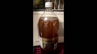 DIY Energy Drink Kvas, easy