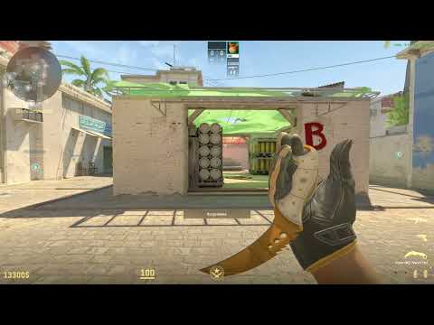 Counter Strike 2 Talon Tiger tooth + Gloves Omega