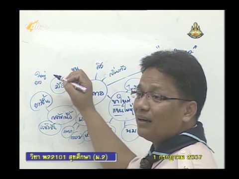 ครีมเปรี้ยวแรงเบียร์ไข่ รากตำแยและศักยภาพ