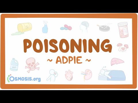 Chronic obstructive pulmonary disease Nursing Process