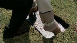 killer's Paradise part 13 of 15 - Paraiso de asesinos