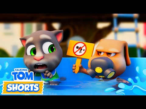 Talking Tom - Breaking the Pool Rules 🌊 ⛔️ Cartoon for kids Kedoo Toons TV