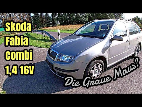 PS Blick - Skoda Fabia Combi | Geheimtipp oder Graue Maus? | Like + Dislike + Zeiten messen | 2021