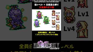 FF5 白魔道士だけで大海溝のボス 低Lv FINAL FANTASY V SFC版 job unification & Low-Level Run