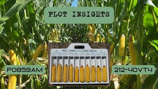 Plot Insights P0859AM vs 212-40VT4