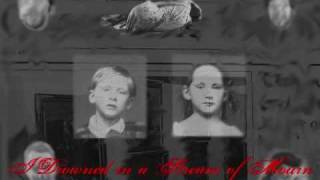 I DROWNED IN A STREAM OF MOURN - Srangling The Truth