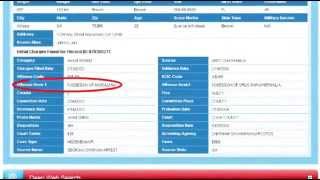 Reverse 411 - eVerify Reverse Phone Lookup & Background Checks