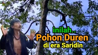 Download lagu Area lokasi pohon Duren pedesaan cerita Saridin andum waris dan makam Syekh Jangkung di Pati. mp3 Download lagu Area lokasi pohon Duren pedesaan cerita Saridin andum waris dan makam Syekh Jangkung di Pati. mp3