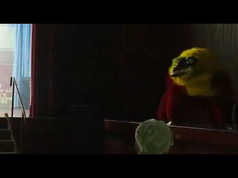 SHISHIMAI - CONVOCATORIA 2018- COLONIA OKINAWA 1 (SANTA CRUZ-BOLIVIA)