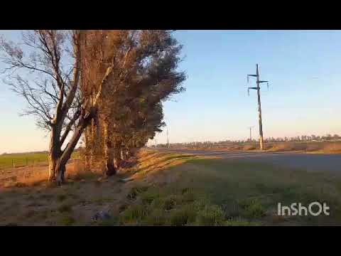 CAMIONES EN RUTA PROV. 1 , SAN FRANCISCO , CORDOBA , ARGENTINA , VIDEO 364