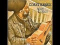 Corey Harris - That Will Happen No More