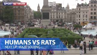 Human vs Rat: The Maze Challenge