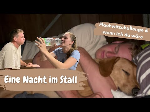 Eine Nacht im Stall - mit Flachwitzchallenge und "wenn ich du wäre"