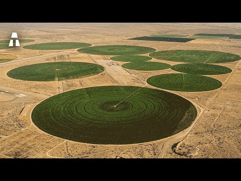 Warum die intensive Landwirtschaft ein großer Fehler ist