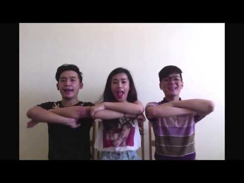 numa numa ver. Vietnamese