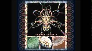 Canvas Solaris - Reticular Consciousness