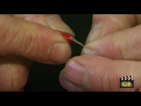 Dave Lane ties a Maggot Rig