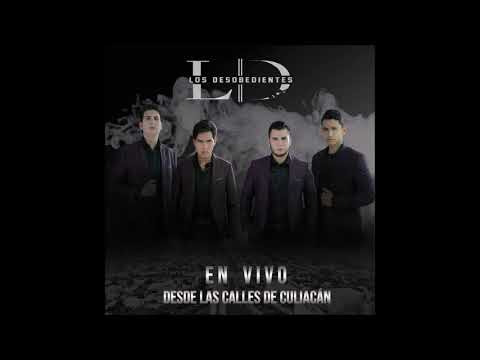 El Zurdo - Los Desobedientes de Culiacán
