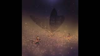 Video Nocni Motyl de Cocoman 