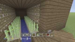 preview picture of video 'HOW TO BUILD A MINECRAFT AUTO SUGARCANE FARM'