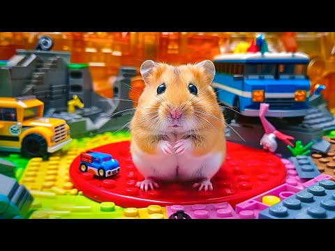 Hamster Escapes the Huggy Wuggy Maze 👀🐹 An Epic Adventure | Hamster Maze