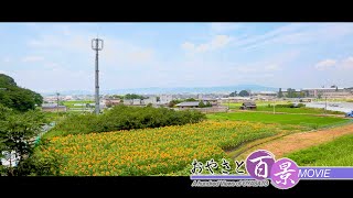 「夏景」『おやさと百景』(77)