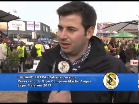 LUCIANO TRAPA - Cabaña Curaco - Reservado Gran Campeon Macho Angus - Expo. Palermo 2013