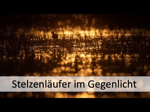 Das perfekte Licht - Erwische ich die Seltenheit?