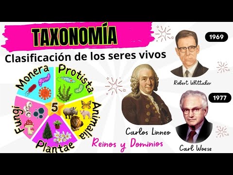 🔬 Taxonomía 🦠🍄 Clasificación de los Seres Vivos 🌿🐶Explicación, ejemplos + Quiz 📚🧬STEM. Biología