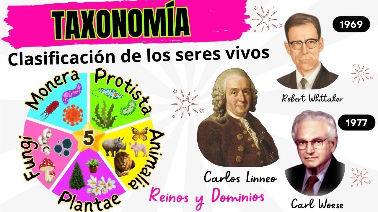 🔬 Taxonomía 🦠🍄 Clasificación de los Seres Vivos 🌿🐶Explicación, ejemplos + Quiz 📚🧬STEM. Biología