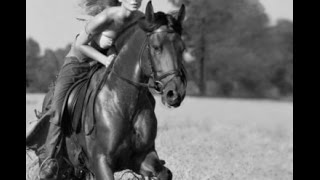 Allman Brothers Band - Midnight Rider Cover Lorraine Ashby 2015