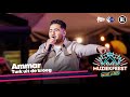 Ammar - Turk uit de kroeg • Muziekfeest op het Plein 2023 // Sterren NL