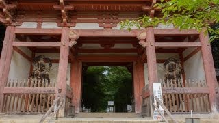 preview picture of video 'Daigo ji Temple A World Heritage Site in Kyoto!'
