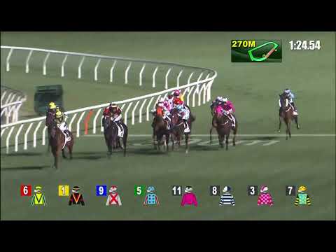 龍來了    22/03/09……(488)第七塲四班1650米