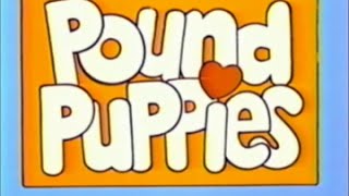 Pound Puppies Episode 1 Bright Eyes, Come Home