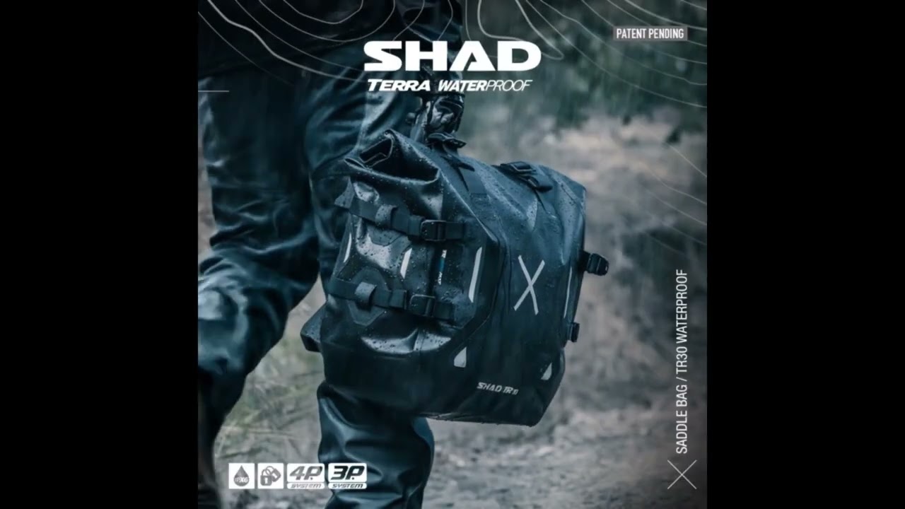 Shad Creative Consulting