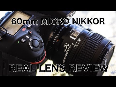 Video thumbnail for Video Review 2