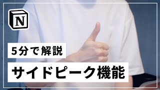 サイドピーク機能について解説します（00:00:00 - 00:00:46） - 【5分解説】新しくリリースされたサイドピーク機能について解説します