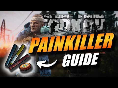 SIMPLE PAINKILLER GUIDE | ESCAPE FROM TARKOV