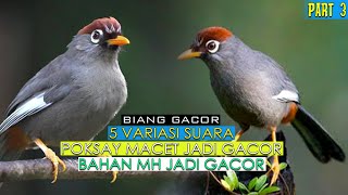 Download lagu KOMBINASI 5 LAGU POKSAY MANDARIN BIKIN SEGALA JENIS POKSAY NYAUT BERBARENGAN PART #2 mp3