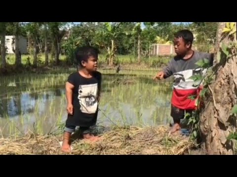 ribut-gara-gara-air-sawah-di-ambil-mus-komedi-lucu