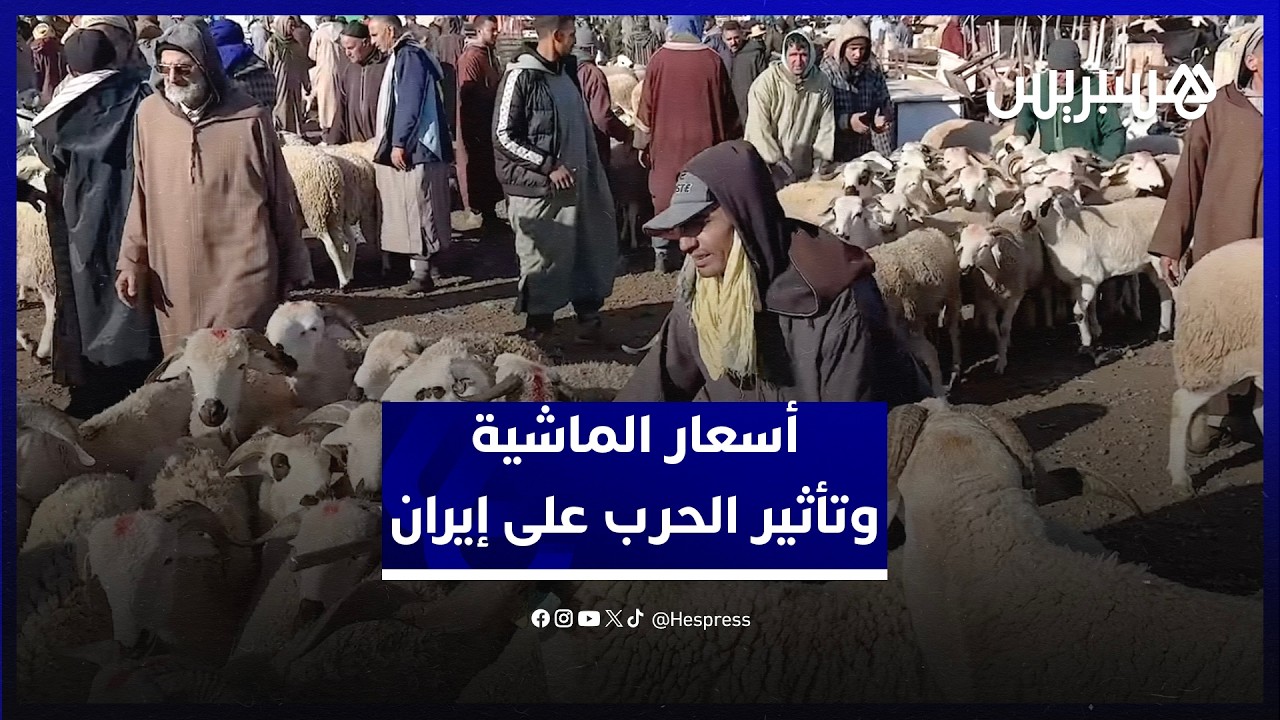 من سوق أربعاء السويهلة ناحية مراكش.. كسابة يؤكدون استقرار الأسعار رغم تأثير الحرب على إيران thumbnail