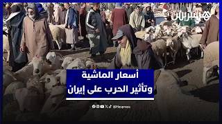 من سوق أربعاء السويهلة ناحية مراكش.. كسابة يؤكدون استقرار الأسعار رغم تأثير الحرب على إيران thumbnail