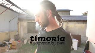 Il mercante dei sogni - Timoria (Cover di Andrea Spampinato)