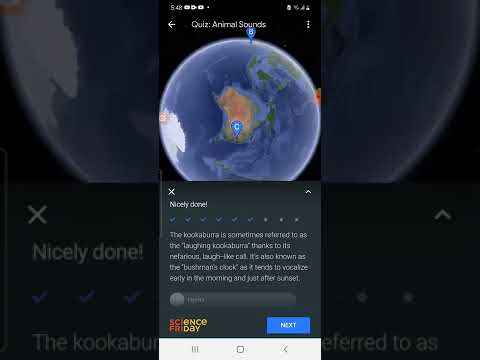 Google animal sounds