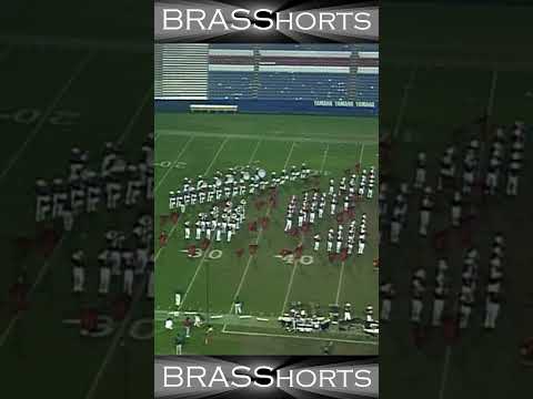 BRASShorts 30